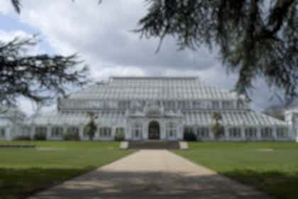 Temperate House 0